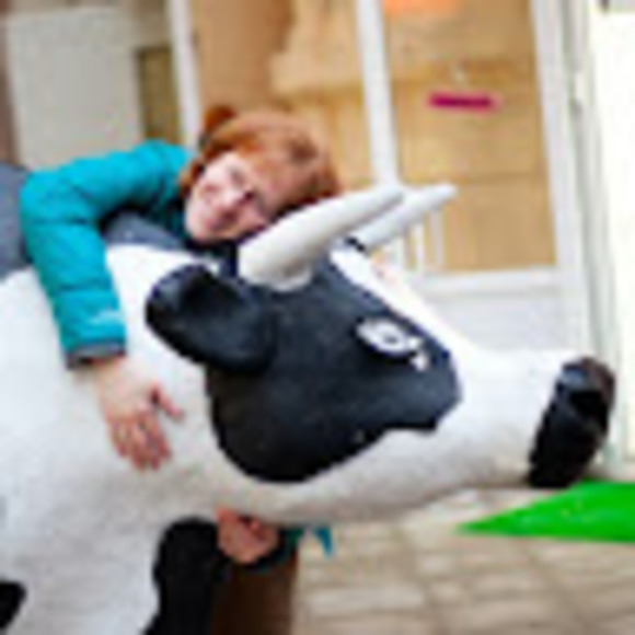 Meet your Posher, Susan - Picture 1 of 1